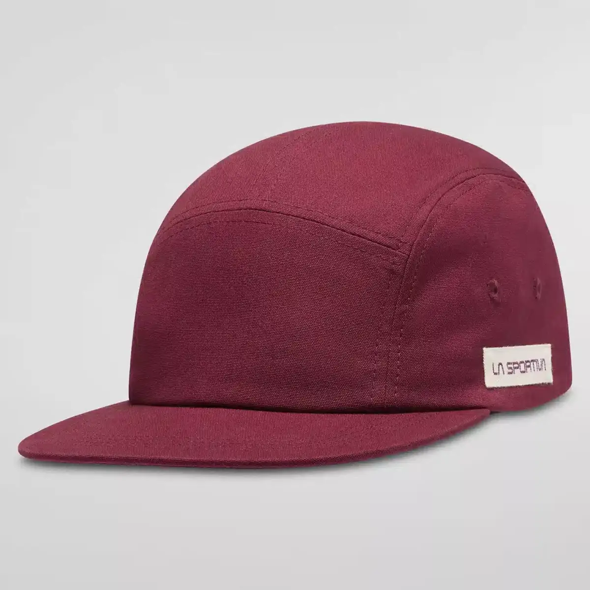 Mountain Logo Hat