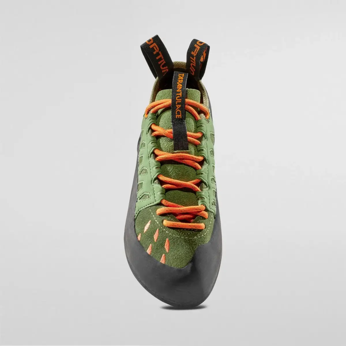 Tarantulace Tarantulace