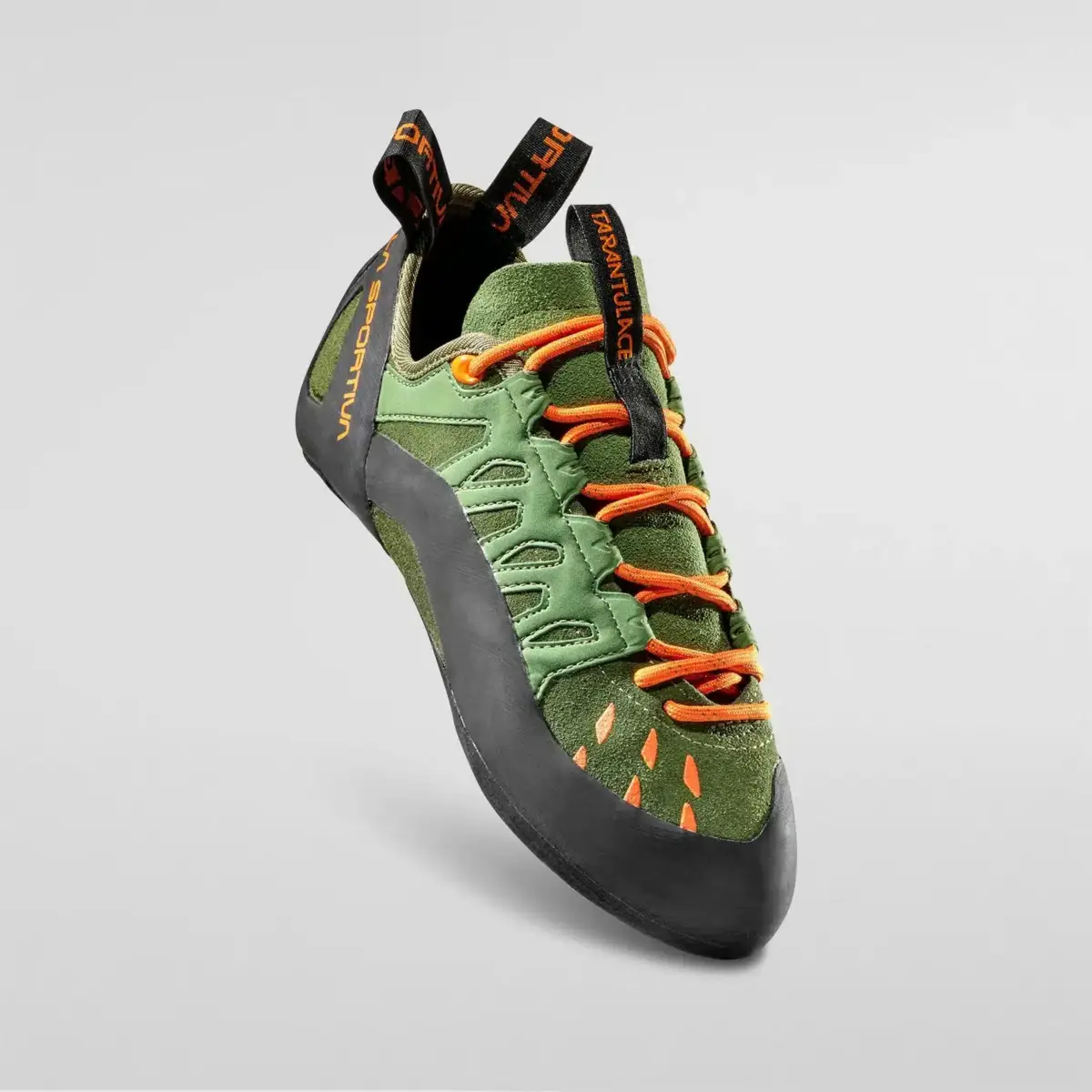 Tarantulace Tarantulace