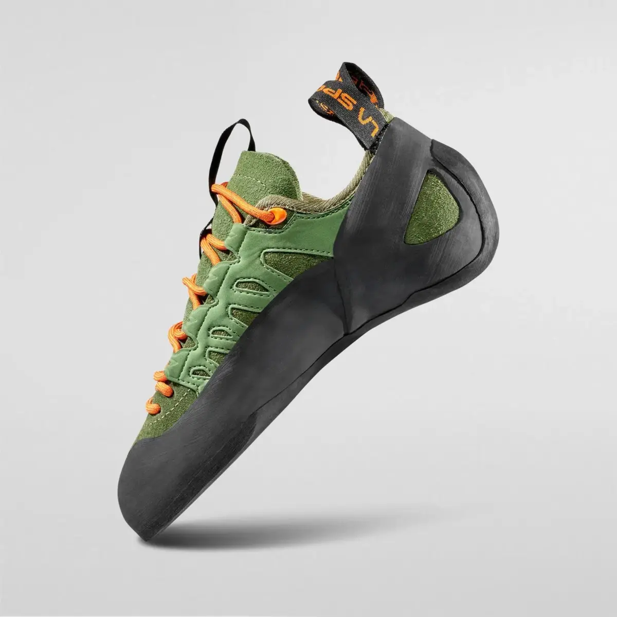 Tarantulace Tarantulace