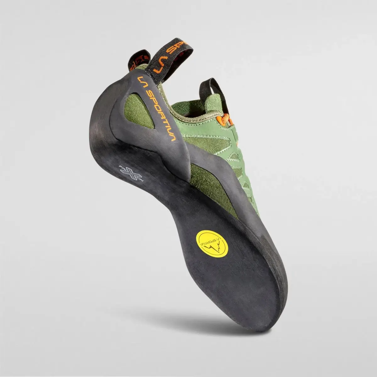 Tarantulace Tarantulace